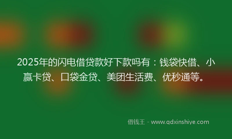 2025年的闪电借贷款好下款吗有：钱袋快借、小赢卡贷、口袋金贷、美团生活费、优秒通等。