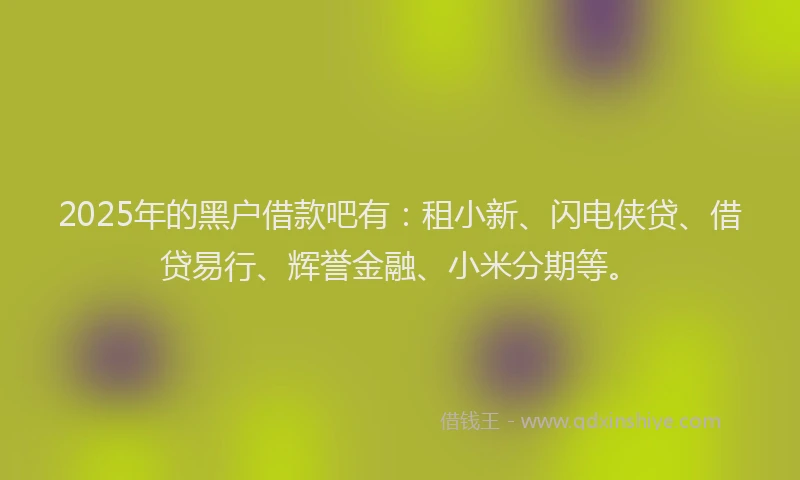 2025年的黑户借款吧有：租小新、闪电侠贷、借贷易行、辉誉金融、小米分期等。