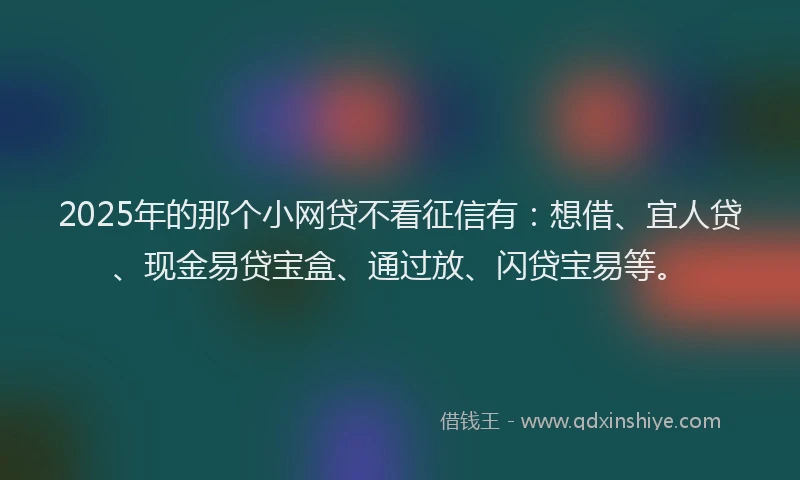 2025年的那个小网贷不看征信有：想借、宜人贷、现金易贷宝盒、通过放、闪贷宝易等。