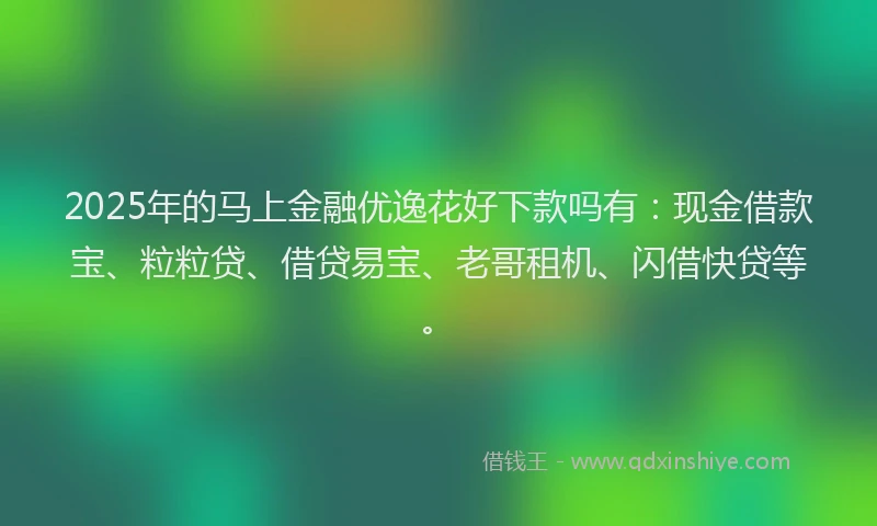 2025年的马上金融优逸花好下款吗有：现金借款宝、粒粒贷、借贷易宝、老哥租机、闪借快贷等。