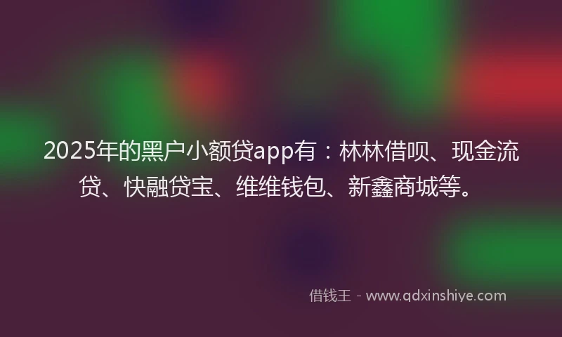 2025年的黑户小额贷app有：林林借呗、现金流贷、快融贷宝、维维钱包、新鑫商城等。