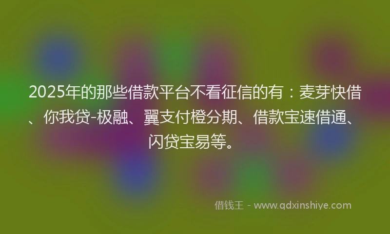 2025年的那些借款平台不看征信的有：麦芽快借、你我贷-极融、翼支付橙分期、借款宝速借通、闪贷宝易等。