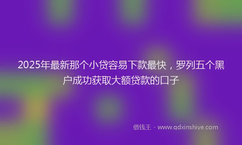 2025年最新那个小贷容易下款最快，罗列五个黑户成功获取大额贷款的口子