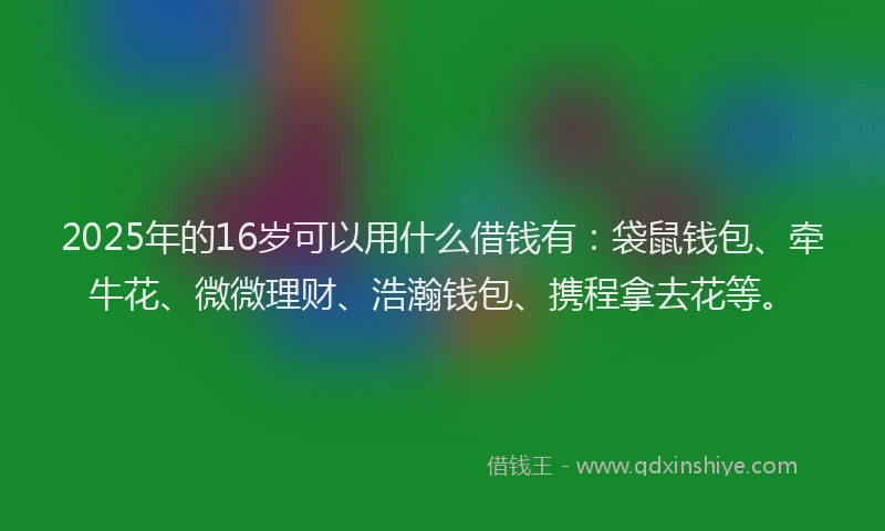 2025年的16岁可以用什么借钱有：袋鼠钱包、牵牛花、微微理财、浩瀚钱包、携程拿去花等。