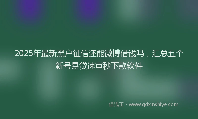2025年最新黑户征信还能微博借钱吗，汇总五个新号易贷速审秒下款软件