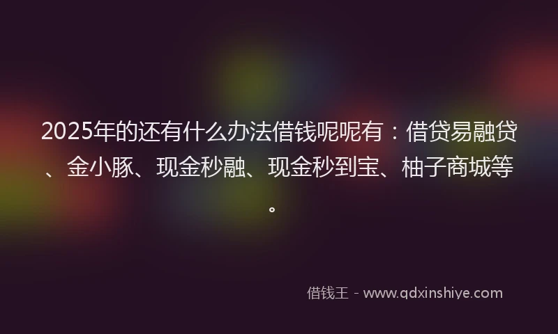 2025年的还有什么办法借钱呢呢有：借贷易融贷、金小豚、现金秒融、现金秒到宝、柚子商城等。