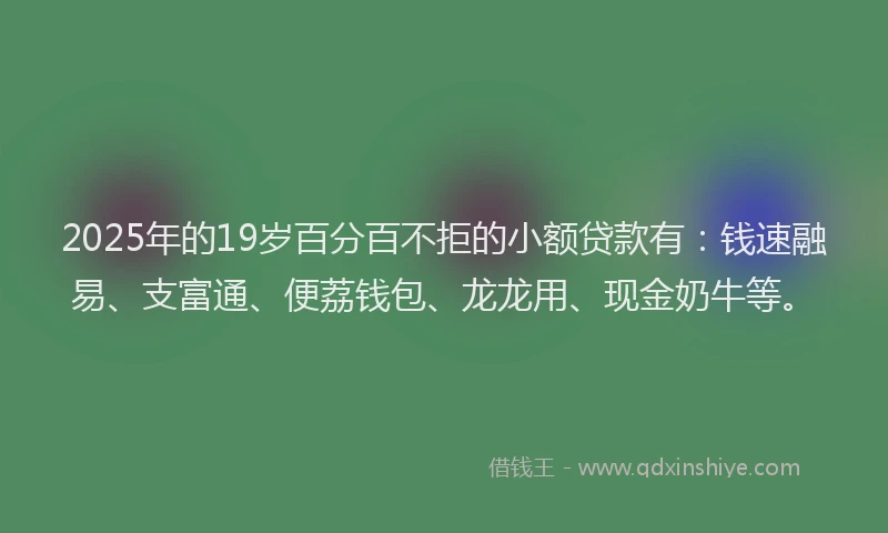 2025年的19岁百分百不拒的小额贷款有：钱速融易、支富通、便荔钱包、龙龙用、现金奶牛等。