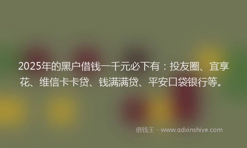 2025年的黑户借钱一千元必下有：投友圈、宜享花、维信卡卡贷、钱满满贷、平安口袋银行等。