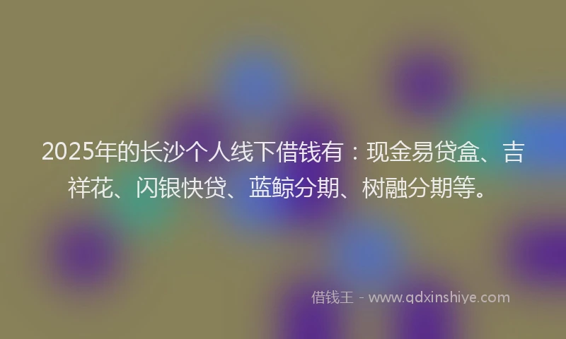 2025年的长沙个人线下借钱有：现金易贷盒、吉祥花、闪银快贷、蓝鲸分期、树融分期等。