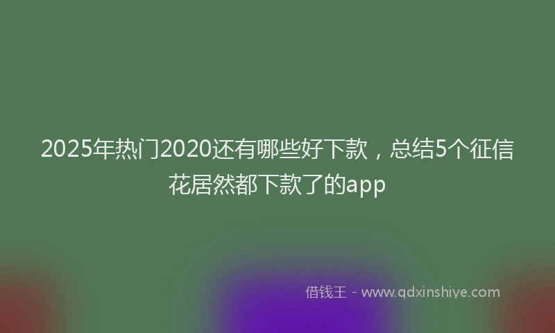 2025年热门2020还有哪些好下款，总结5个征信花居然都下款了的app