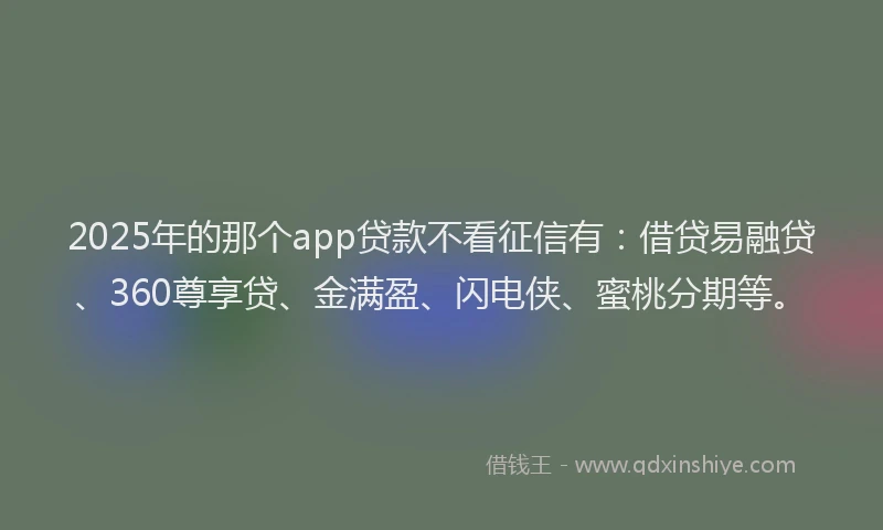 2025年的那个app贷款不看征信有：借贷易融贷、360尊享贷、金满盈、闪电侠、蜜桃分期等。