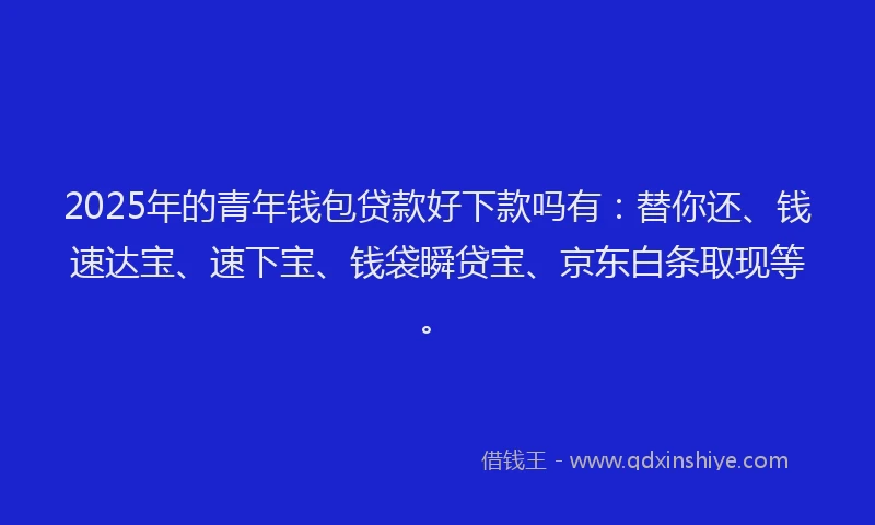 2025年的青年钱包贷款好下款吗有：替你还、钱速达宝、速下宝、钱袋瞬贷宝、京东白条取现等。