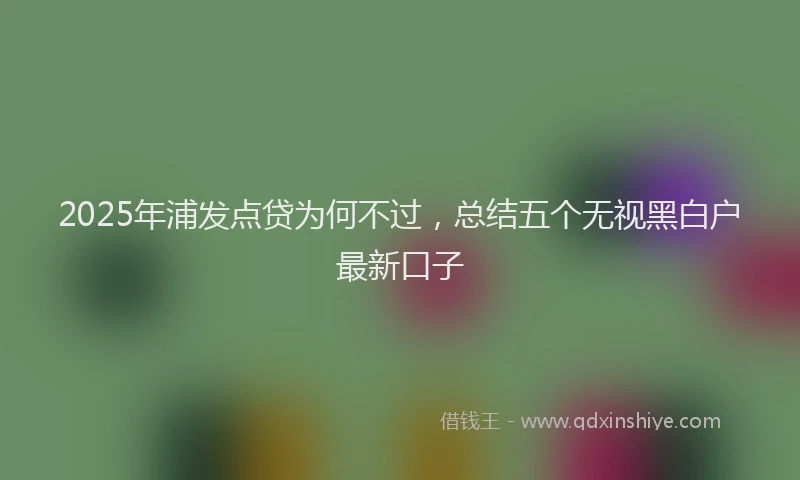 2025年浦发点贷为何不过，总结五个无视黑白户最新口子