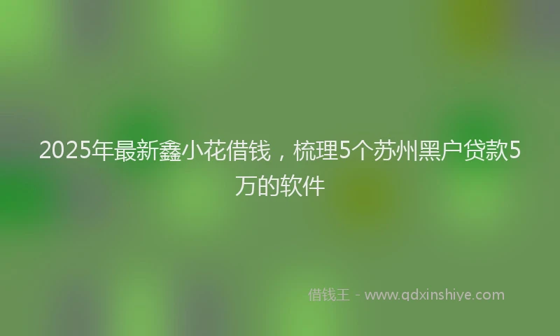 2025年最新鑫小花借钱，梳理5个苏州黑户贷款5万的软件