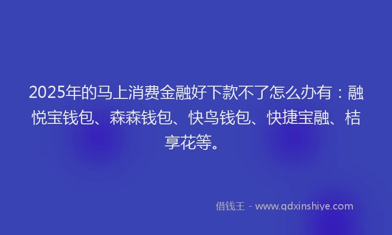 2025年的马上消费金融好下款不了怎么办有：融悦宝钱包、森森钱包、快鸟钱包、快捷宝融、桔享花等。