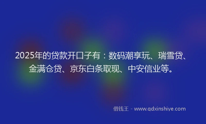 2025年的贷款开口子有：数码潮享玩、瑞雪贷、金满仓贷、京东白条取现、中安信业等。