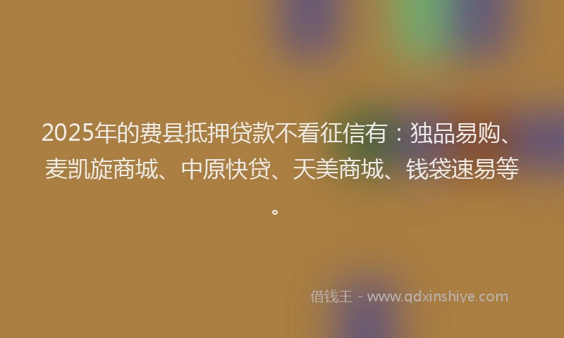 2025年的费县抵押贷款不看征信有：独品易购、麦凯旋商城、中原快贷、天美商城、钱袋速易等。