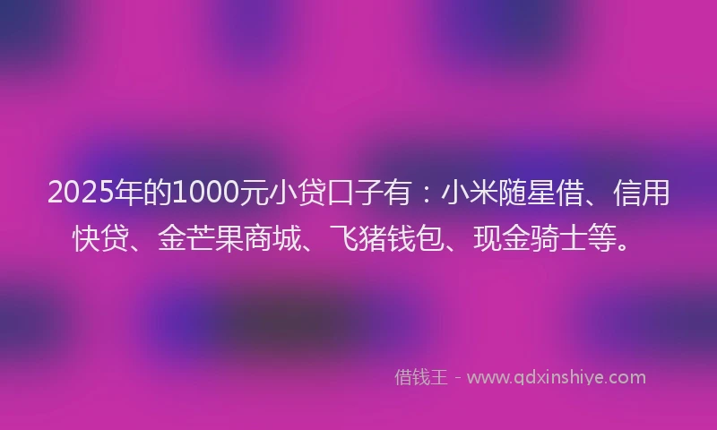 2025年的1000元小贷口子有：小米随星借、信用快贷、金芒果商城、飞猪钱包、现金骑士等。