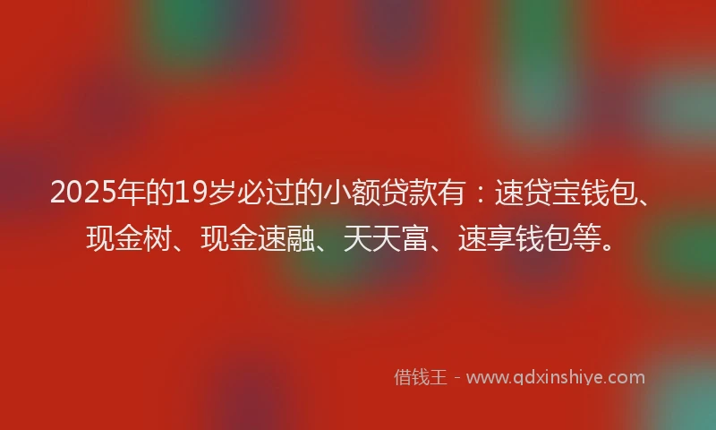 2025年的19岁必过的小额贷款有：速贷宝钱包、现金树、现金速融、天天富、速享钱包等。