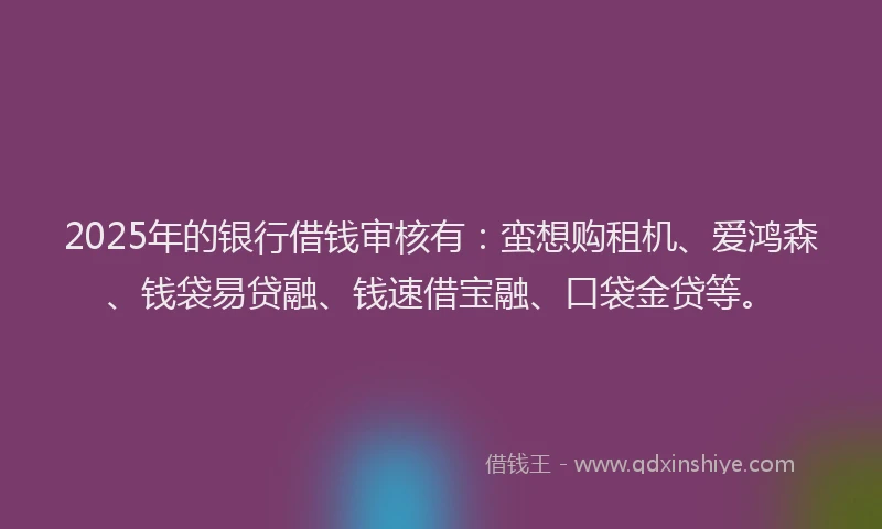 2025年的银行借钱审核有：蛮想购租机、爱鸿森、钱袋易贷融、钱速借宝融、口袋金贷等。