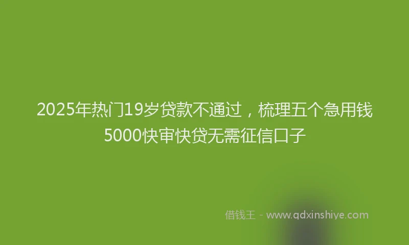2025年热门19岁贷款不通过，梳理五个急用钱5000快审快贷无需征信口子