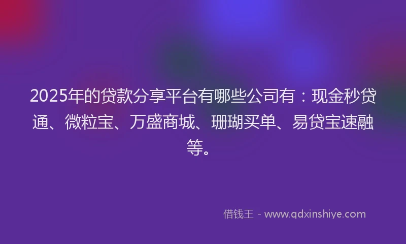 2025年的贷款分享平台有哪些公司有：现金秒贷通、微粒宝、万盛商城、珊瑚买单、易贷宝速融等。