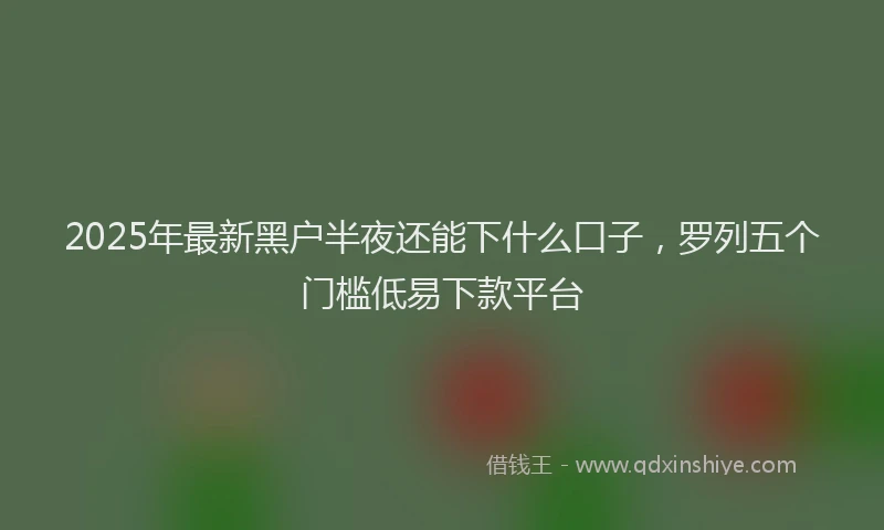 2025年最新黑户半夜还能下什么口子，罗列五个门槛低易下款平台