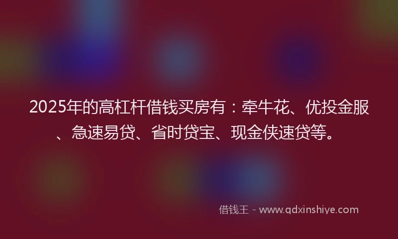 2025年的高杠杆借钱买房有：牵牛花、优投金服、急速易贷、省时贷宝、现金侠速贷等。