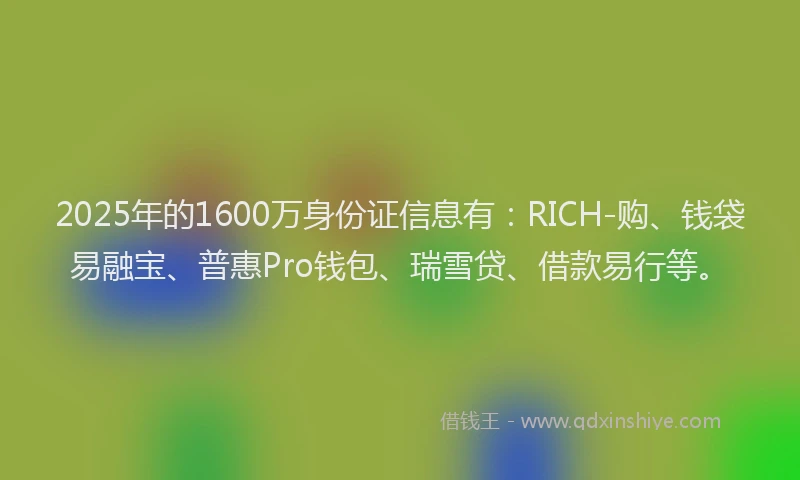 2025年的1600万身份证信息有：RICH-购、钱袋易融宝、普惠Pro钱包、瑞雪贷、借款易行等。