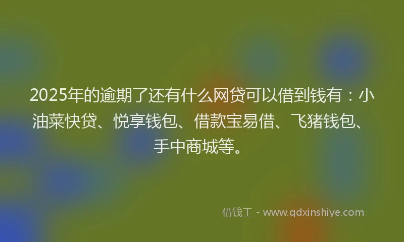 2025年的逾期了还有什么网贷可以借到钱有：小油菜快贷、悦享钱包、借款宝易借、飞猪钱包、手中商城等。
