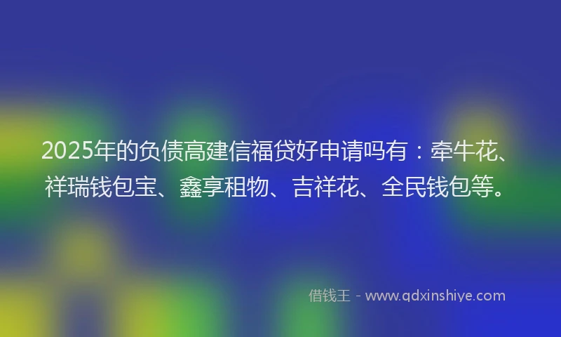 2025年的负债高建信福贷好申请吗有：牵牛花、祥瑞钱包宝、鑫享租物、吉祥花、全民钱包等。