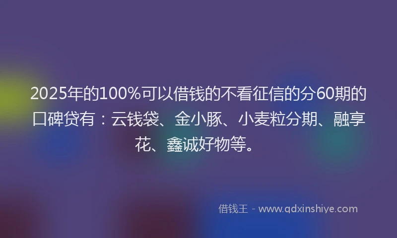 2025年的100%可以借钱的不看征信的分60期的口碑贷有：云钱袋、金小豚、小麦粒分期、融享花、鑫诚好物等。
