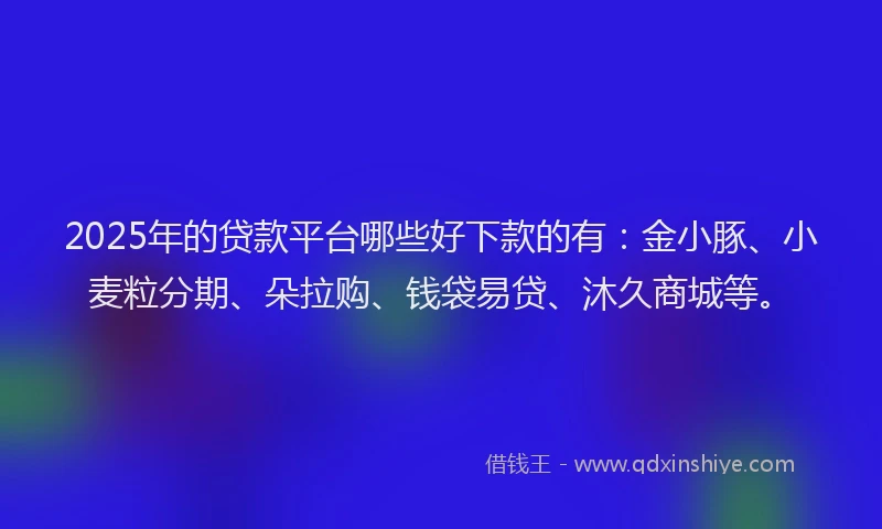 2025年的贷款平台哪些好下款的有：金小豚、小麦粒分期、朵拉购、钱袋易贷、沐久商城等。