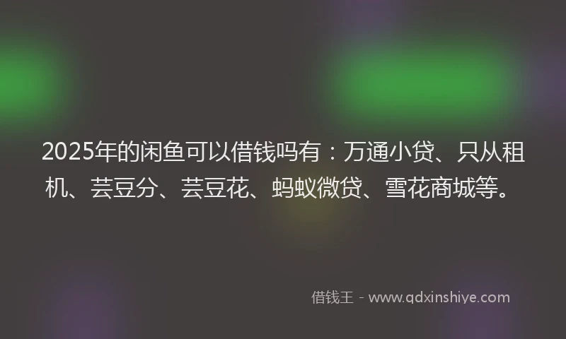2025年的闲鱼可以借钱吗有：万通小贷、只从租机、芸豆分、芸豆花、蚂蚁微贷、雪花商城等。