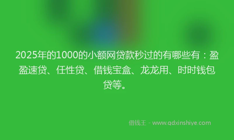 2025年的1000的小额网贷款秒过的有哪些有：盈盈速贷、任性贷、借钱宝盒、龙龙用、时时钱包贷等。