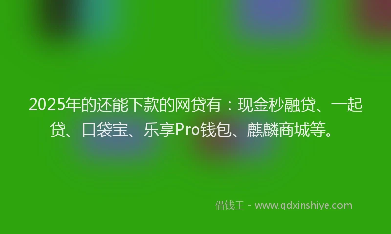 2025年的还能下款的网贷有：现金秒融贷、一起贷、口袋宝、乐享Pro钱包、麒麟商城等。