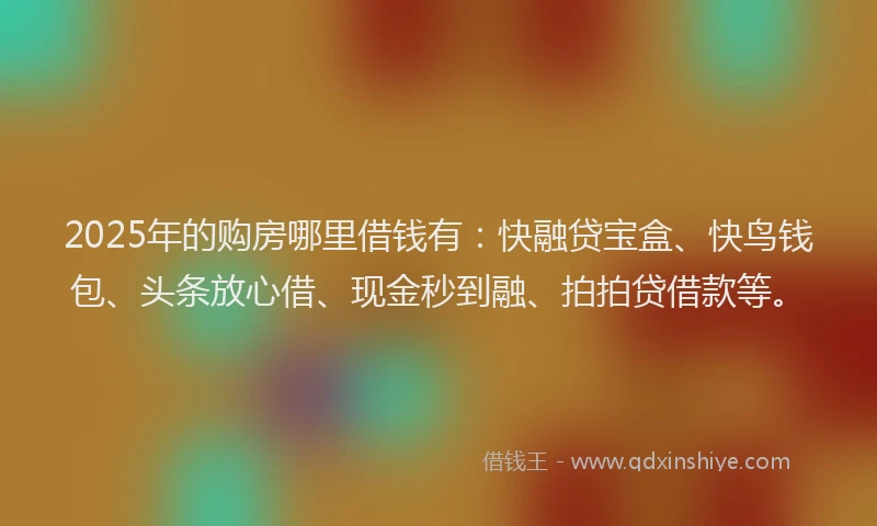 2025年的购房哪里借钱有：快融贷宝盒、快鸟钱包、头条放心借、现金秒到融、拍拍贷借款等。