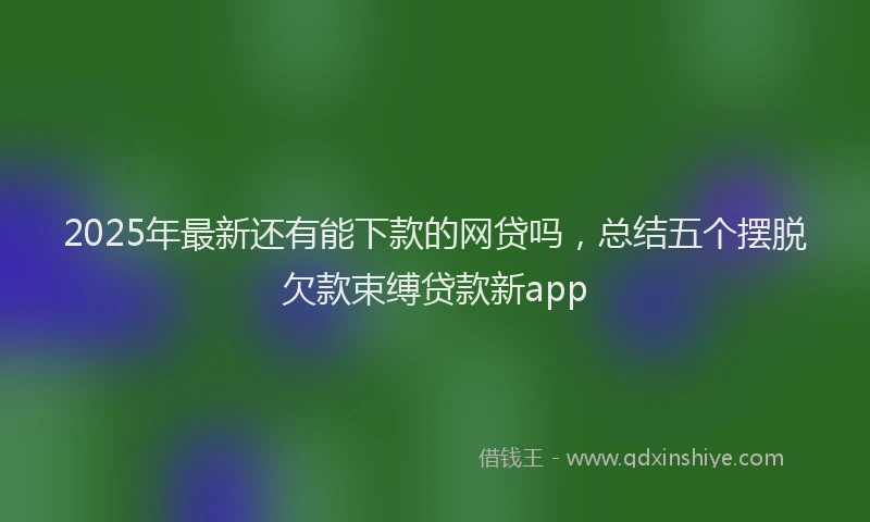 2025年最新还有能下款的网贷吗，总结五个摆脱欠款束缚贷款新app