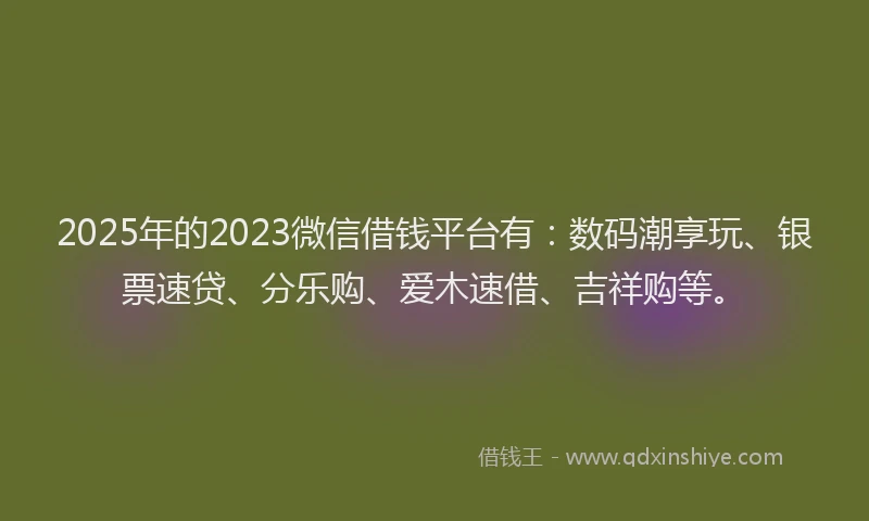 2025年的2023微信借钱平台有：数码潮享玩、银票速贷、分乐购、爱木速借、吉祥购等。