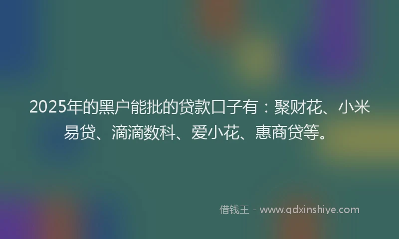 2025年的黑户能批的贷款口子有：聚财花、小米易贷、滴滴数科、爱小花、惠商贷等。