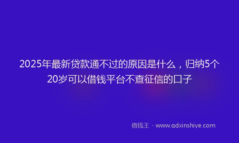 2025年最新贷款通不过的原因是什么，归纳5个20岁可以借钱平台不查征信的口子