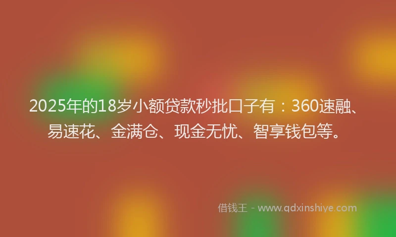 2025年的18岁小额贷款秒批口子有：360速融、易速花、金满仓、现金无忧、智享钱包等。