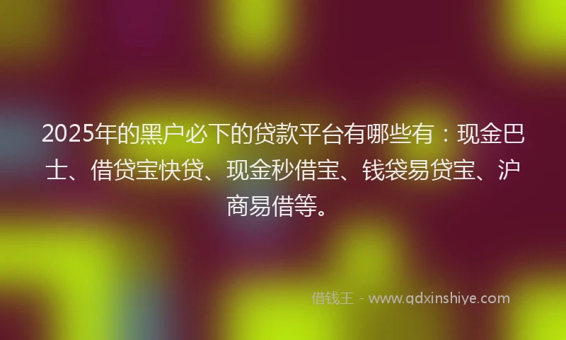 2025年的黑户必下的贷款平台有哪些有：现金巴士、借贷宝快贷、现金秒借宝、钱袋易贷宝、沪商易借等。