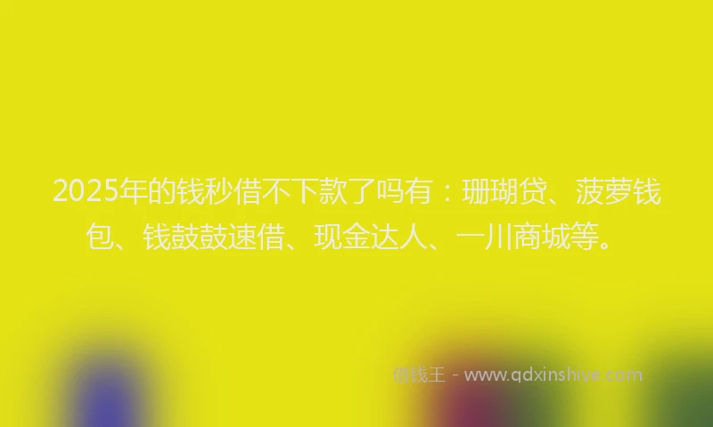 2025年的钱秒借不下款了吗有：珊瑚贷、菠萝钱包、钱鼓鼓速借、现金达人、一川商城等。