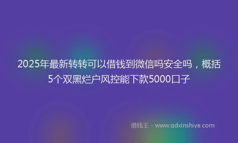 2025年最新转转可以借钱到微信吗安全吗，概括5个双黑烂户风控能下款5000口子