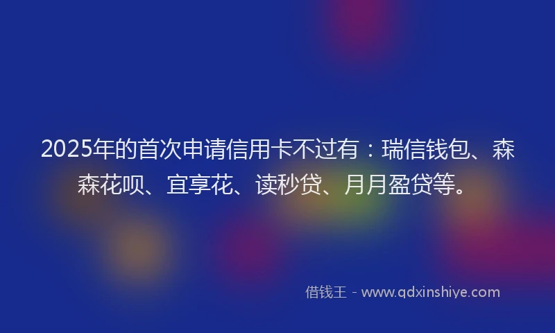 2025年的首次申请信用卡不过有：瑞信钱包、森森花呗、宜享花、读秒贷、月月盈贷等。