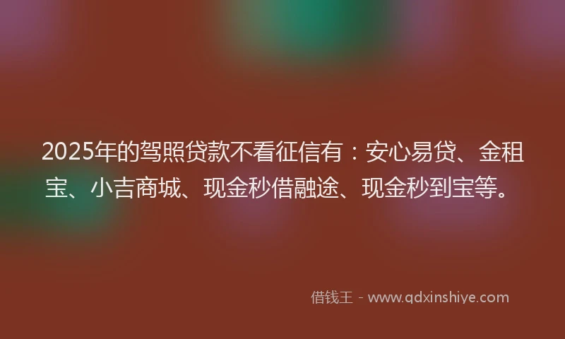 2025年的驾照贷款不看征信有：安心易贷、金租宝、小吉商城、现金秒借融途、现金秒到宝等。