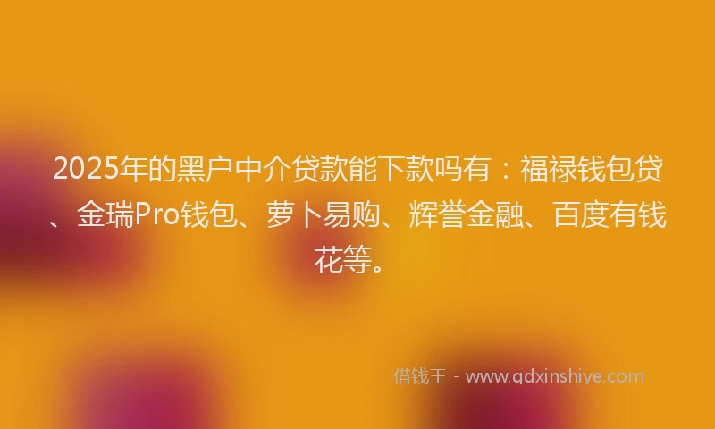 2025年的黑户中介贷款能下款吗有：福禄钱包贷、金瑞Pro钱包、萝卜易购、辉誉金融、百度有钱花等。