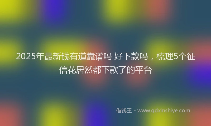 2025年最新钱有道靠谱吗 好下款吗，梳理5个征信花居然都下款了的平台