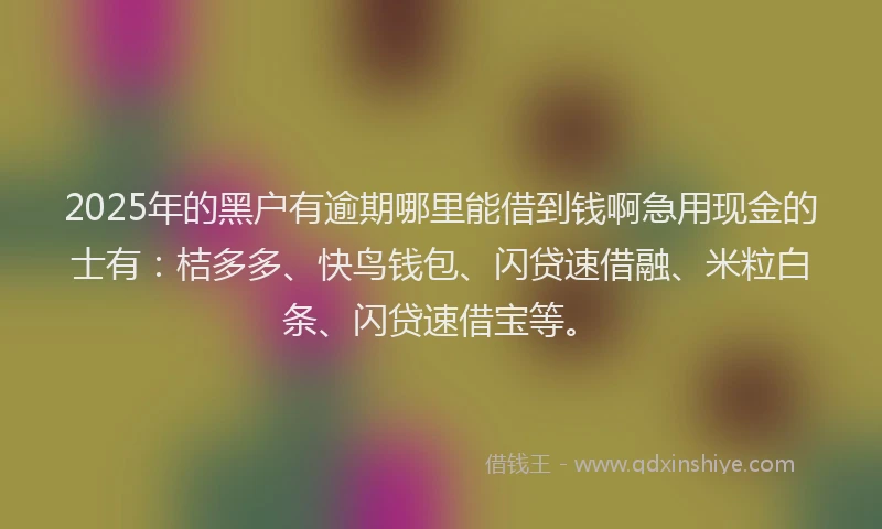 2025年的黑户有逾期哪里能借到钱啊急用现金的士有：桔多多、快鸟钱包、闪贷速借融、米粒白条、闪贷速借宝等。